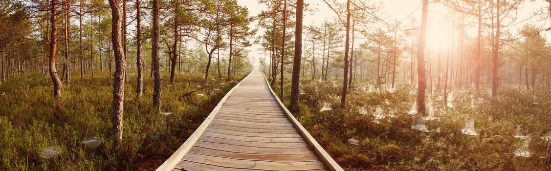 Viru bogs at Lahemaa national park in autumn. Wooden path at beautiful wild place in Estonia
