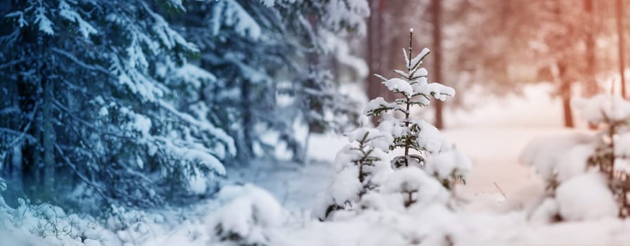 Beautiful tree in winter landscape in late evening in snowfall