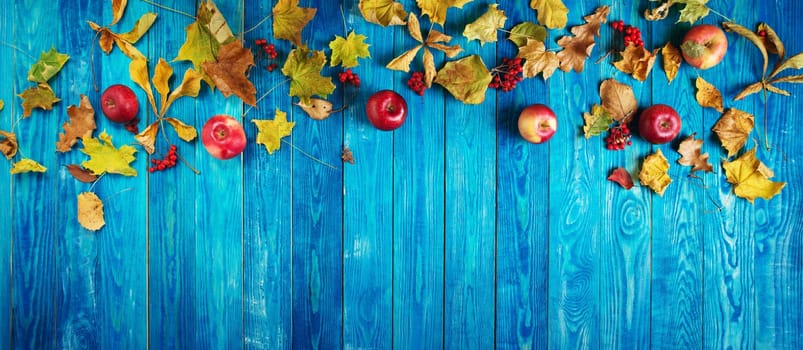Old wooden planks with autumnal maple and oak leaves. Blue background with painted boards