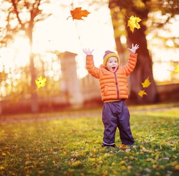 Child standing in park in beautiful autumnal day. Boy playing outdoors yellow maple leaves falling down