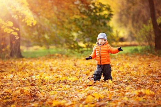 Child standing in park in beautiful autumnal day. Boy playing outdoors yellow maple leaves falling down