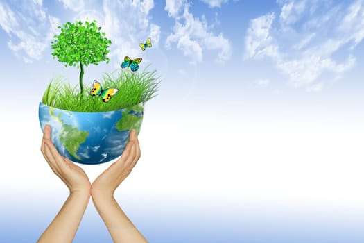 Environmental Concept. Globe in the hands. Tree, grass and butte