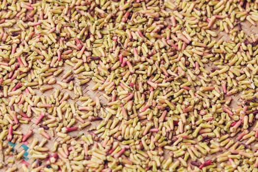 madagascar spice, drying clove spice (Syzygium aromaticum), Cloves are the aromatic flower buds of a tree in the family Myrtaceae. Masoala, Maroantsetra Madagascar