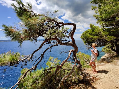 Young active feamle tourist wearing small backpack walking on coastal path among pine trees looking for remote cove to swim alone in peace on seaside in Croatia. Travel and adventure concept.