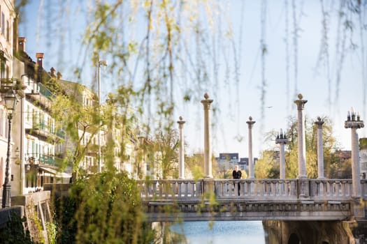 Unique Plecnik arhitecture of Cobblers bridge seen trough willow branches in old medieval city center of Ljubljana, Slovenia.