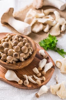 Assortment of edible mushrooms rich in umami tasting on white background - beech shimeji, oyster mushroom and king oyster mushroom