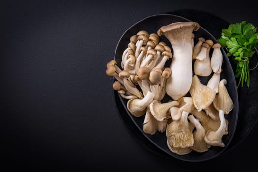 Assortment of edible mushrooms rich in umami tasting on black background - beech shimeji, oyster mushroom and king oyster mushroom