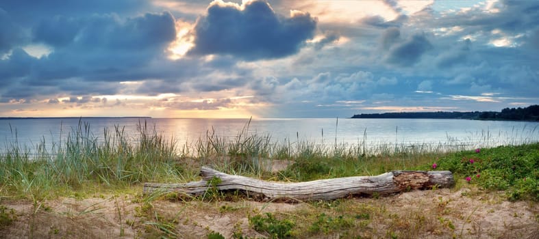 sea in sunset light. Lahemaa natural park coastal landscape with beautiful sky. Log on the beach in the evening