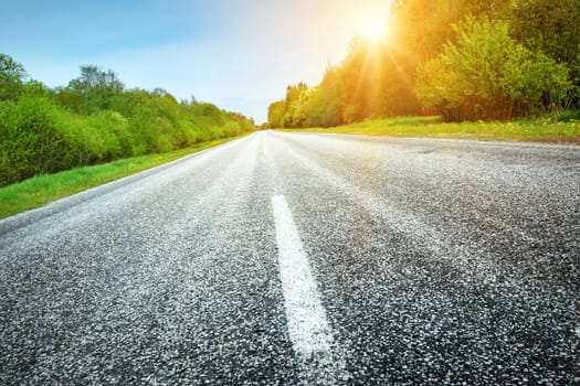 asphalt road panorama in countryside on sunny spring day
