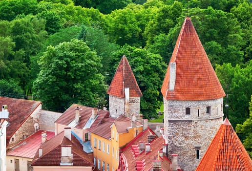 Tallinn. Estonia. View to old town from Oleviste church in summer