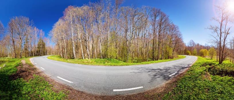 asphalt road panorama in countryside on sunny spring evening