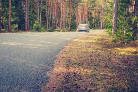 asphalt road on cloudy spring day in the forest