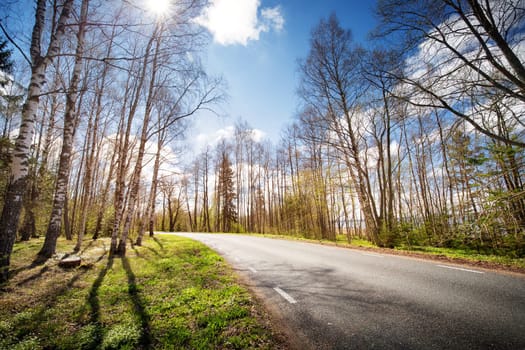 asphalt road panorama in countryside on sunny spring evening