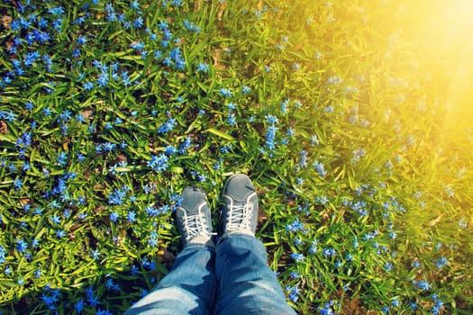 view to spring flowers in the park. Beautiful morning with sunshine. Feet in shoes on the ground