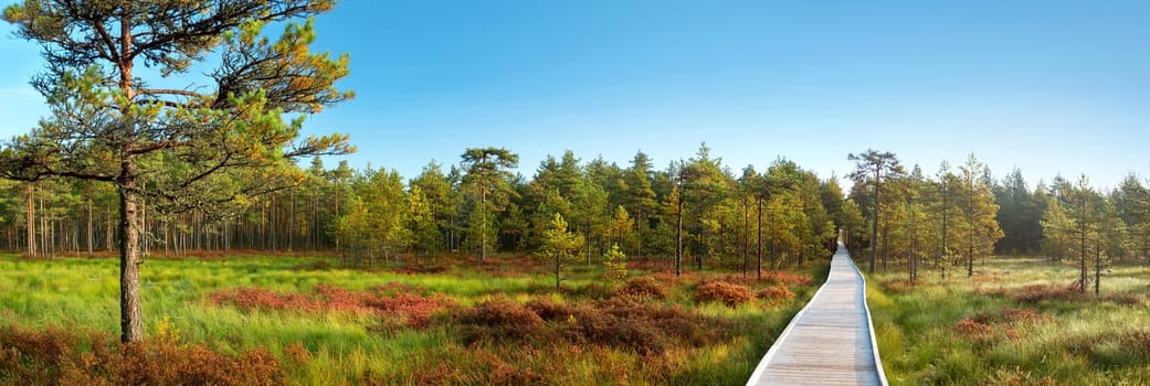 Viru bogs at Lahemaa national park in autumn. Wooden path at beautiful wild place in Estonia