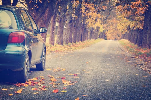 Car on asphalt road on autumnr day at park