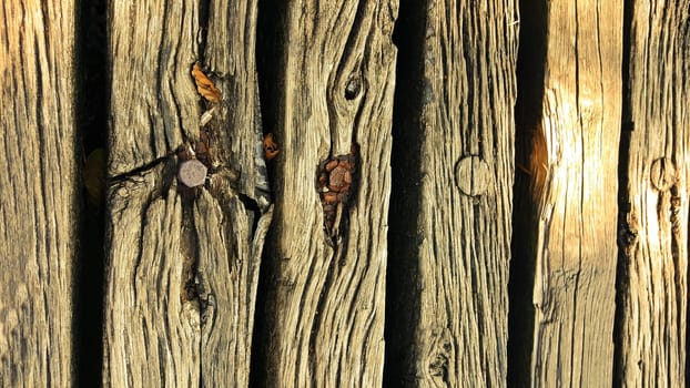 Wooden board as a background