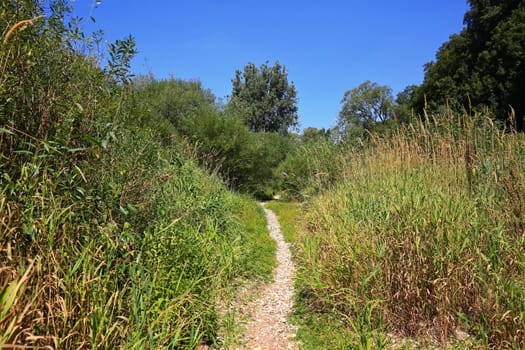 Between Immendingen and Möhringen and near Fridingen, the water of the Danube occasionally seeps away completely in the river bed
