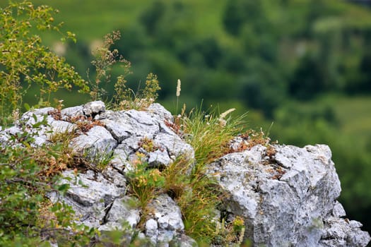 Amazon rock on the Hauser Wand near Bad Überkingen