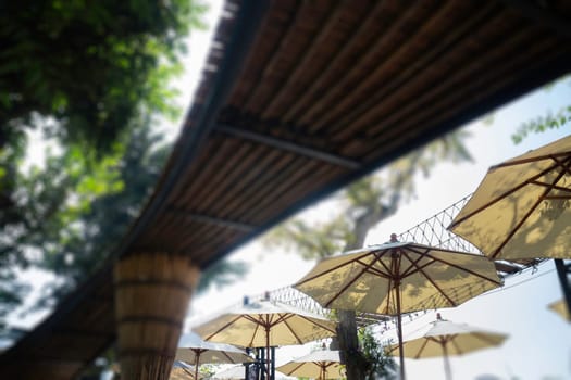 Bamboo roof in rice field resort, stock photo