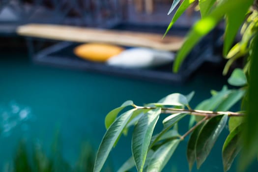 Relaxation resort garden in summer, stock photo
