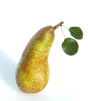 Abate, Birne, Pyrus, communis, Birnensorte