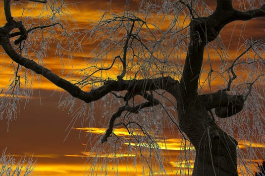 Sonnenaufgang  Morgenrot