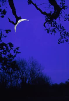 Abnehmender Mond, Landschaft