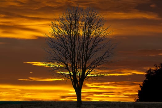 Sonnenaufgang  Morgenrot