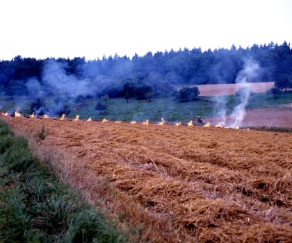 Abflammen von Feldern