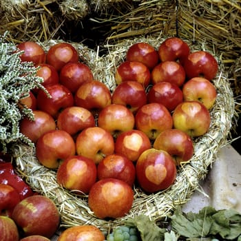 Aepfel mit Herzen, Apfelsorte, Apfel, Kernobst, Obst