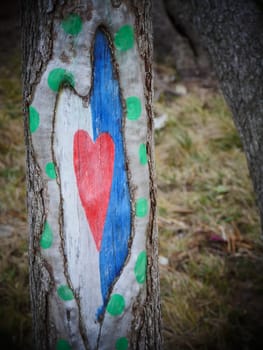 red heart graffiti on tree trunk