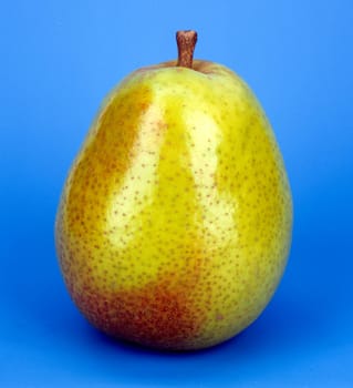 Alexander Lucas  Birne  Birnensorte, Birne, Kernobst, Obst