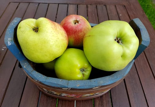 Alte Apfelsorten, verschiedene, Apfel, Malus, domestica, Aepfel