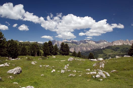 Alm, Sellajoch