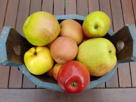 Alte Apfelsorten, verschiedene, Apfel, Malus, domestica, Aepfel