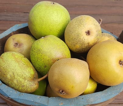 Alte Birnensorten, Birnen, verschiedene, Pyrus communis