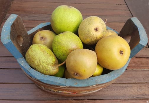 Alte Birnensorten, Birnen, verschiedene, Pyrus communis