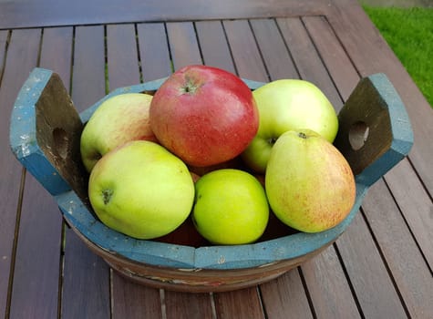 Alte Apfelsorten, verschiedene, Apfel, Malus, domestica