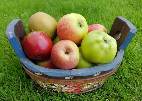 Alte Apfelsorten, verschiedene, Apfel, Malus, domestica
