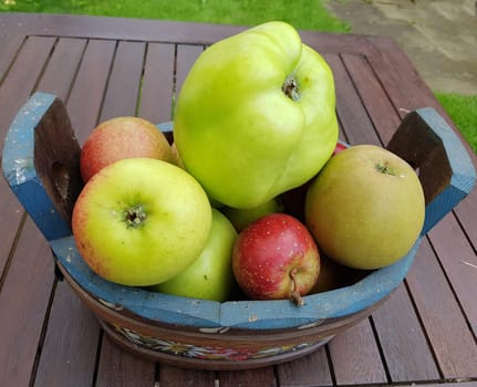 Alte Apfelsorten, verschiedene, Apfel, Malus, domestica