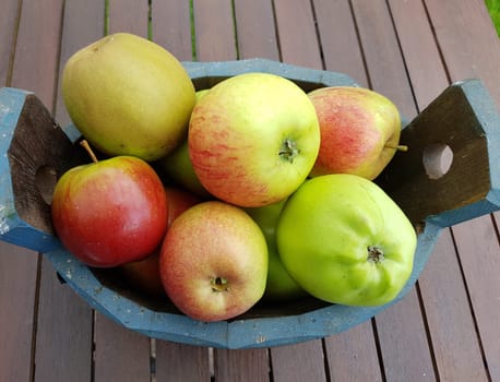 Alte Apfelsorten, verschiedene, Apfel, Malus, domestica