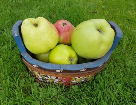 Alte Apfelsorten, verschiedene, Apfel, Malus, domestica, Aepfel