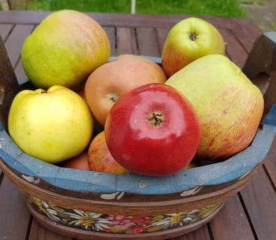 Alte Apfelsorten, verschiedene, Apfel, Malus, domestica, Aepfel