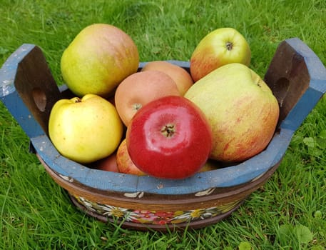 Alte Apfelsorten, verschiedene, Apfel, Malus, domestica, Aepfel