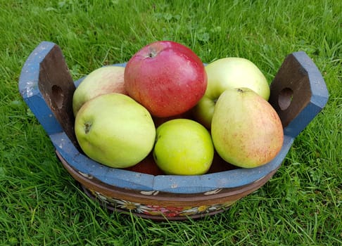 Alte Apfelsorten, verschiedene, Apfel, Malus, domestica
