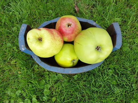 Alte Apfelsorten, verschiedene, Apfel, Malus, domestica, Aepfel