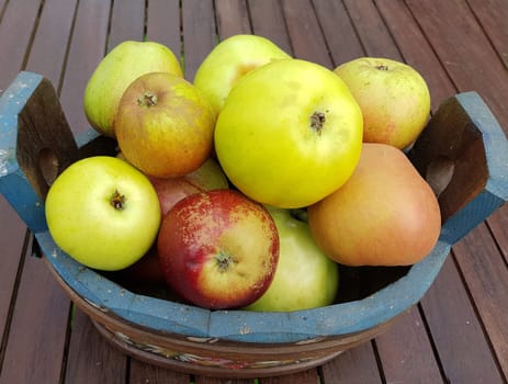 Alte Apfelsorten, verschiedene, Apfel, Malus, domestica, Aepfel