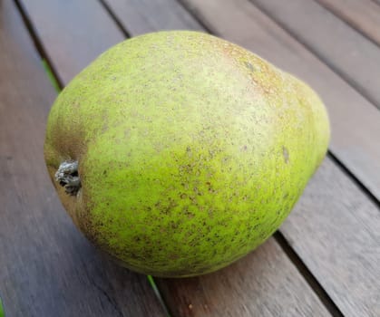 Altlaender Klinkbergamotte, Birnen, Alte Birnensorte, Pyrus communis