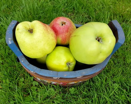 Alte Apfelsorten, verschiedene, Apfel, Malus, domestica, Aepfel